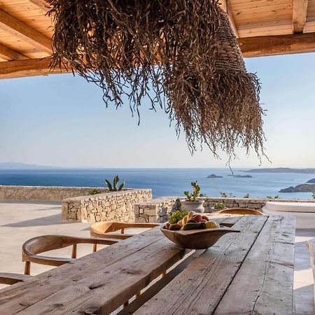 Villa Ava Mykonos Mykonos Town 外观 照片