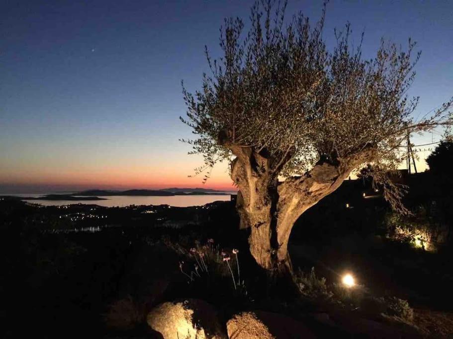 Villa Ava Mykonos Mykonos Town 外观 照片